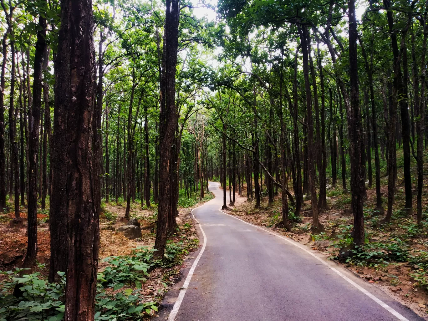 Photo of Dehradun By Akaar Srivastava