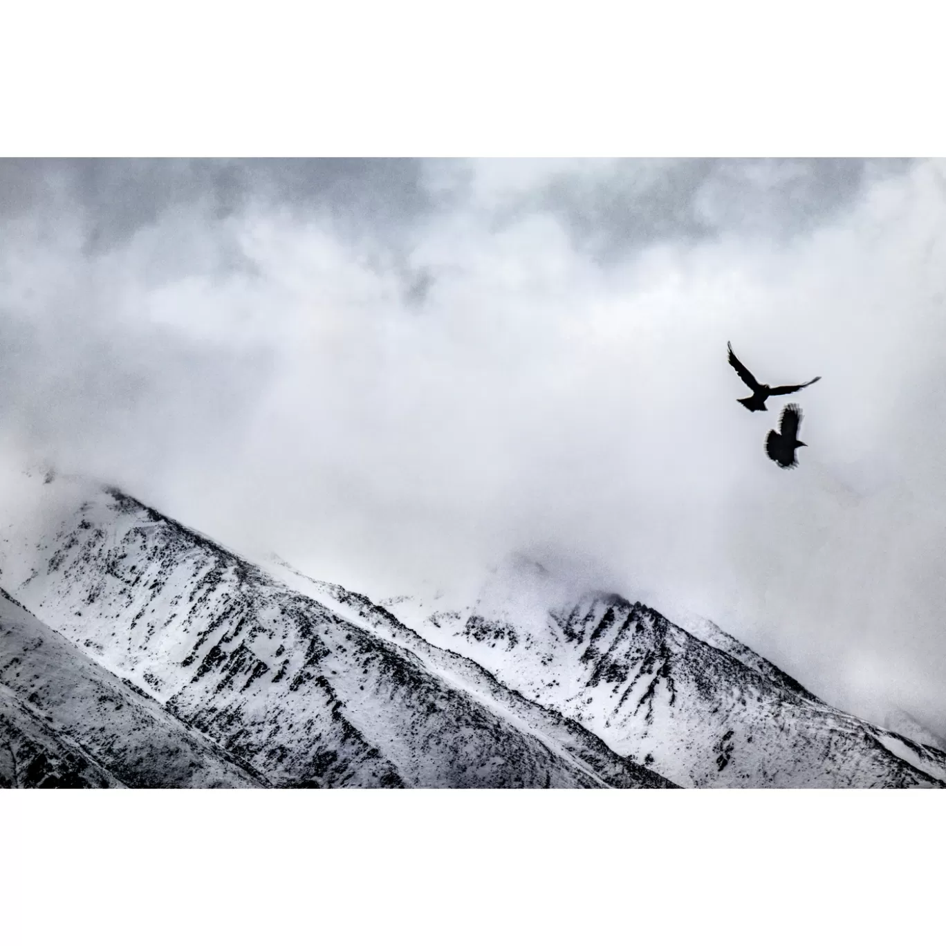 Photo of Ladakh By Abhishek Singh