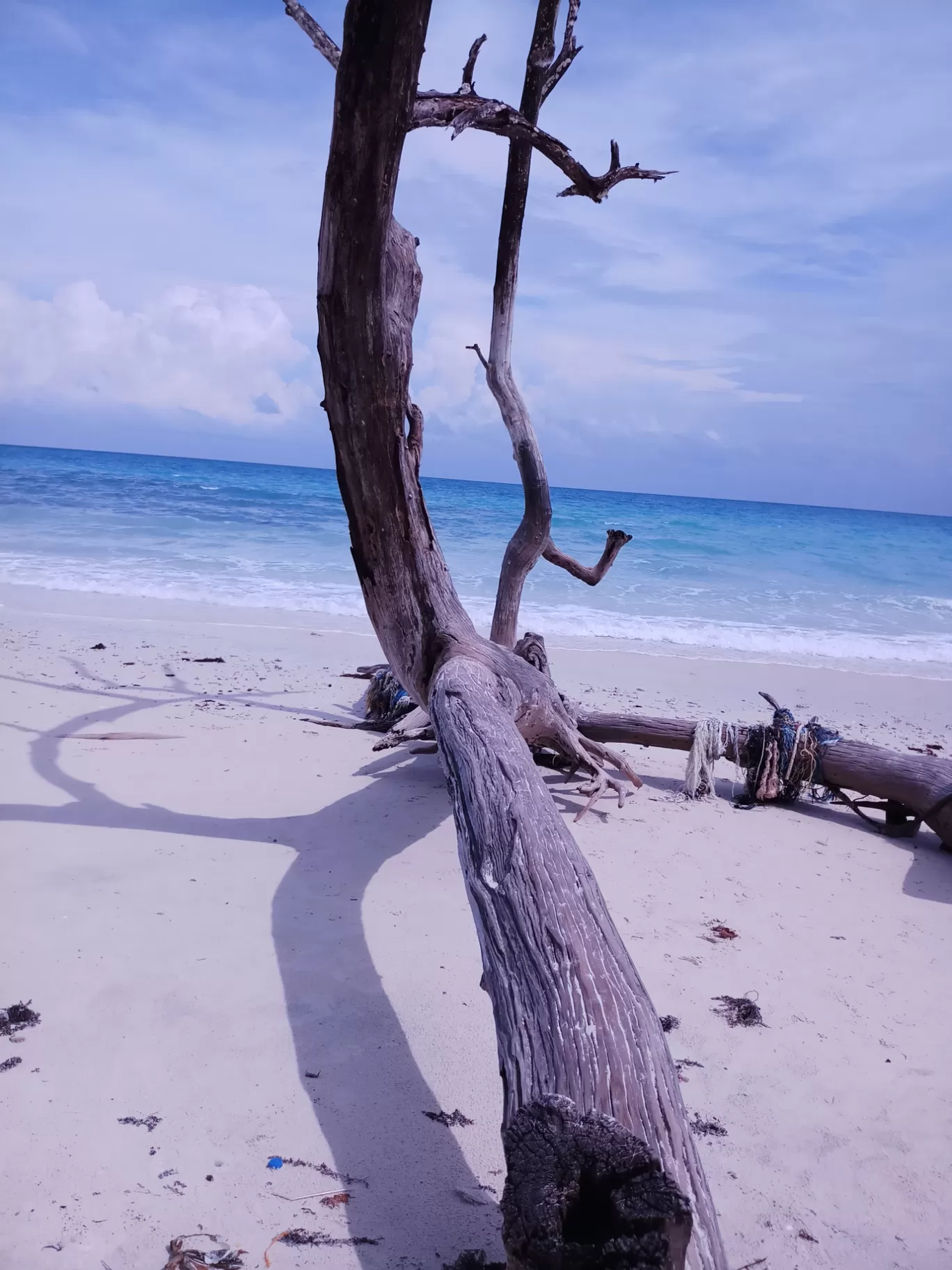 Photo of Andaman Islands By NamrataAtul
