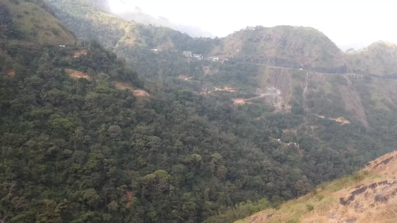 Photo of Vagamon Pine Forest By MIRON MANUEL