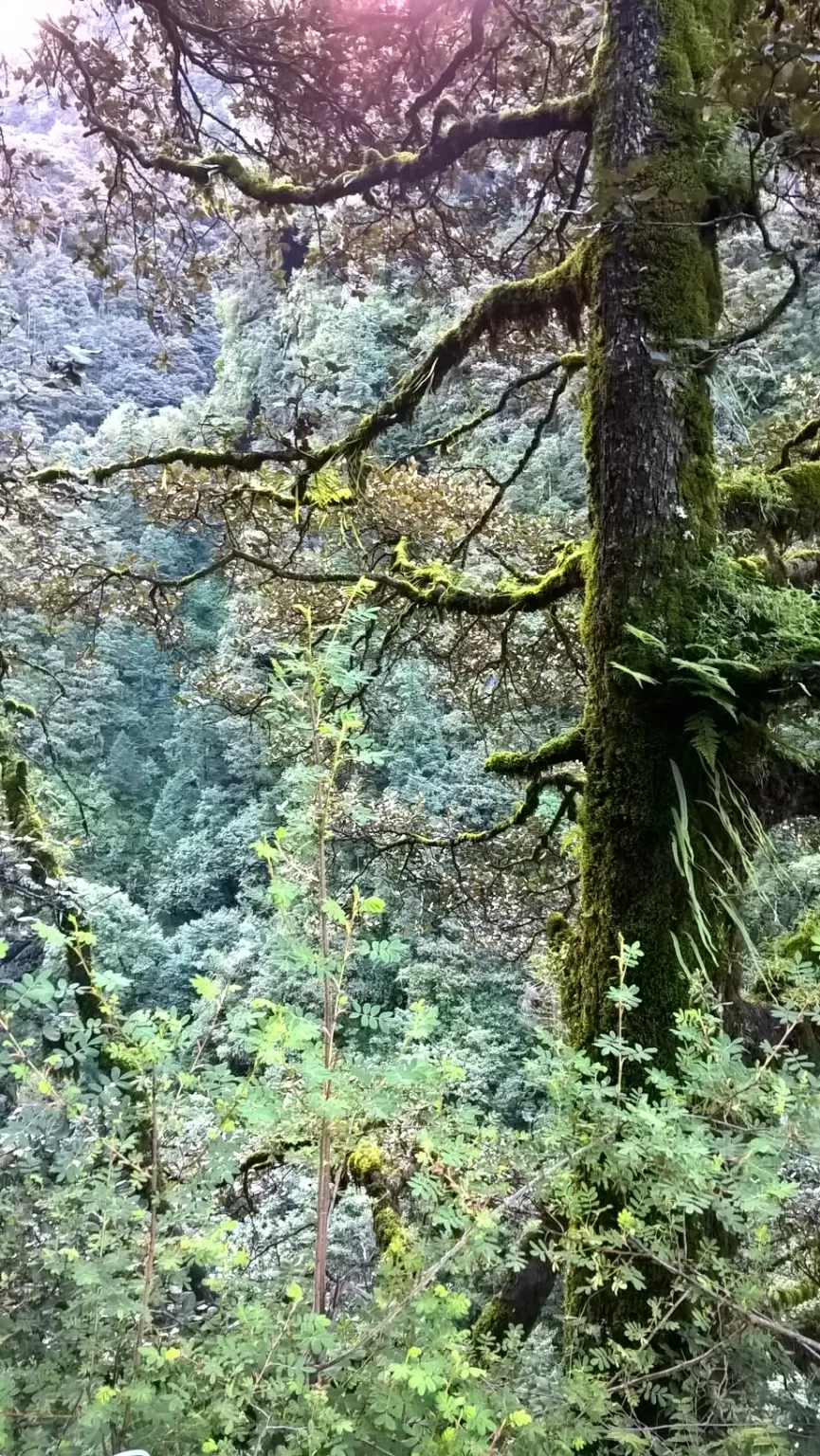 Photo of Yamunotri By Vedant Rajput