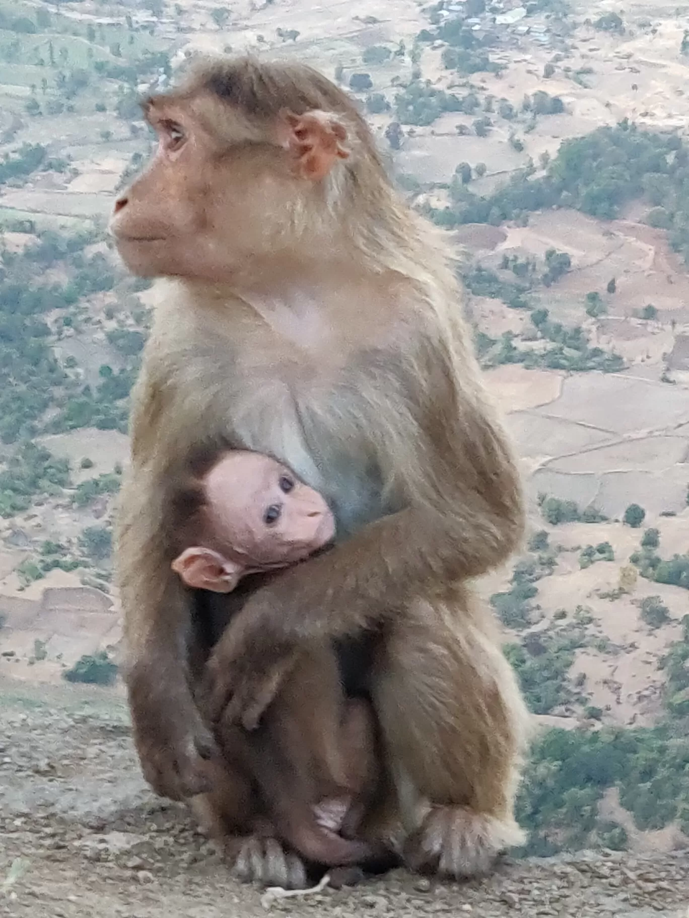 Photo of Harihar Gad (Harsha Gad) By Prerna Kubal