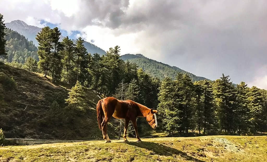 Photo of Jammu and Kashmir By Subra Pratim Choudhury