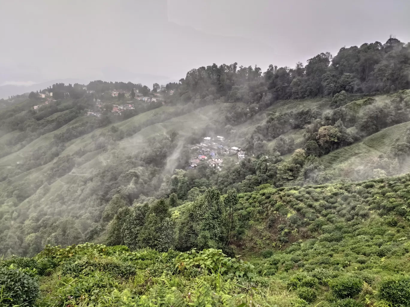 Photo of Darjeeling By Akash Jagdale