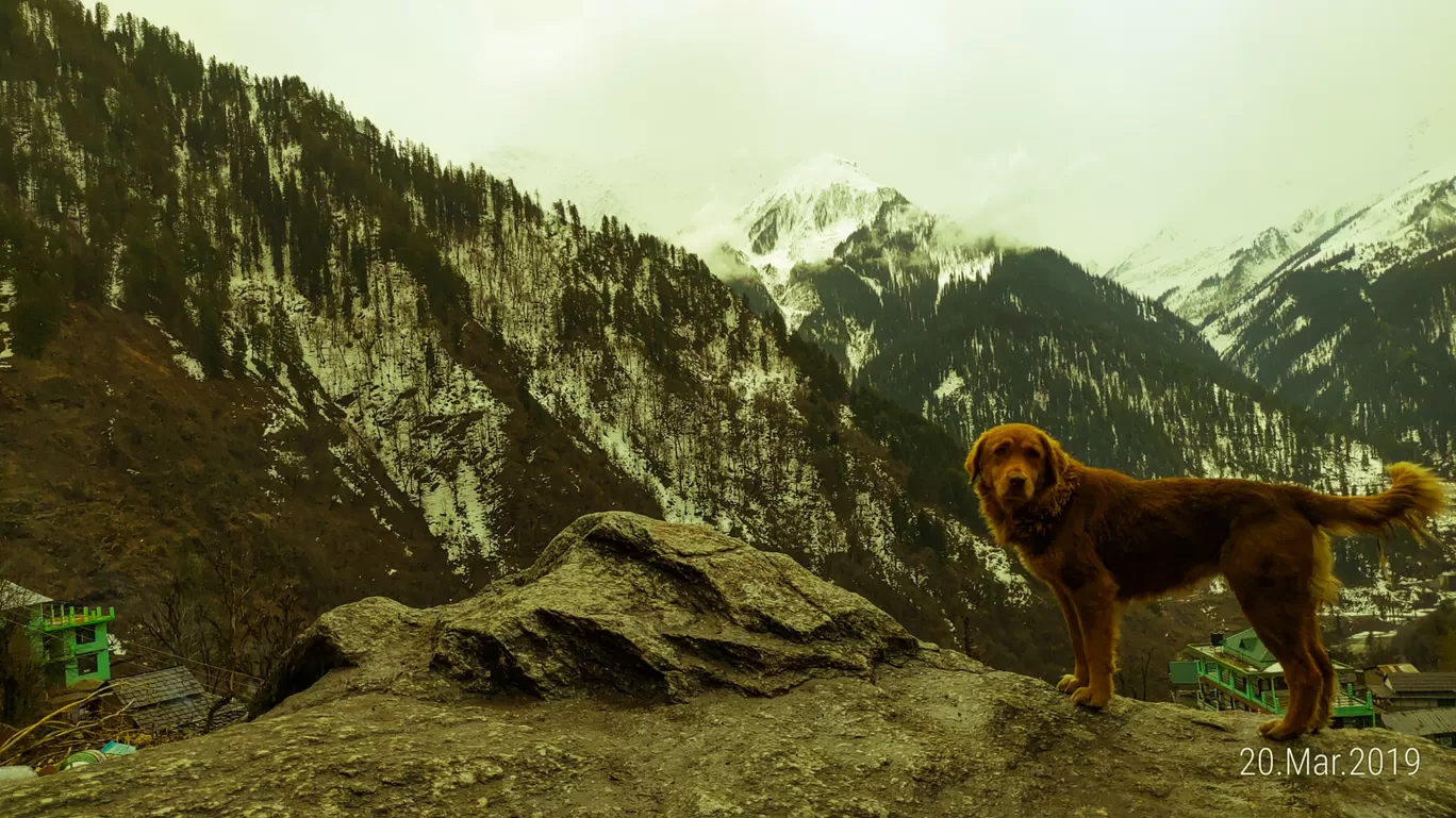 Photo of Kheer Ganga Trek By eindro