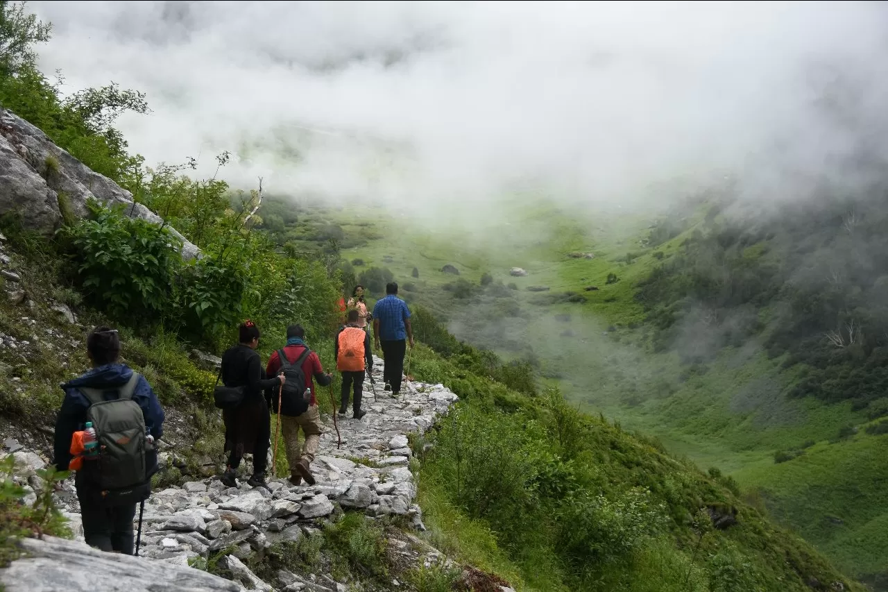 Photo of Valley of Flowers National Park By sundar sridharan