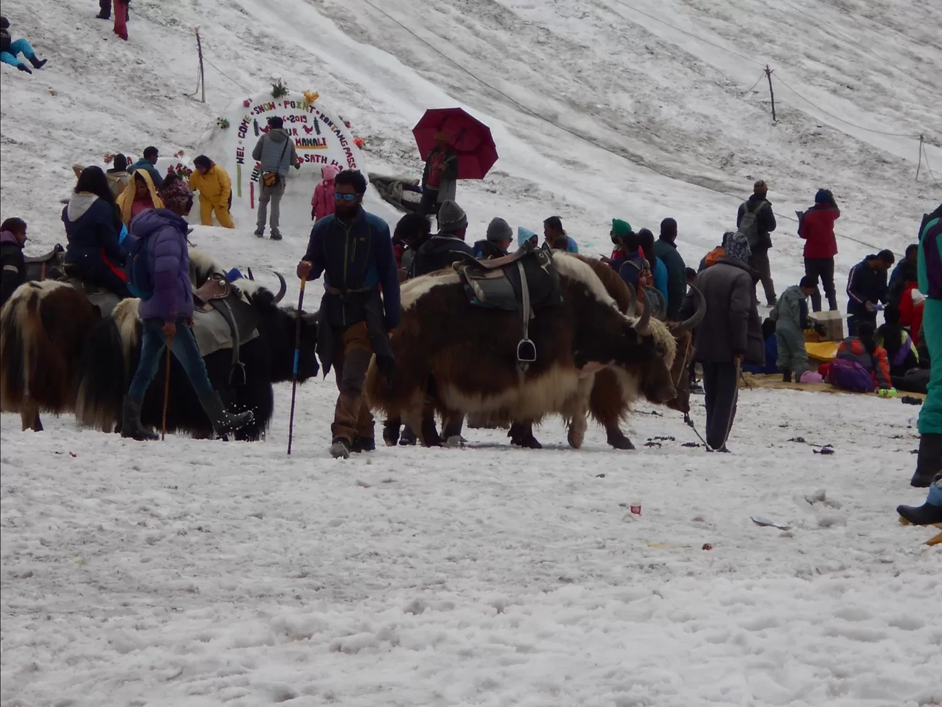 Photo of Ladakh Mountain Tours By darpan gajera
