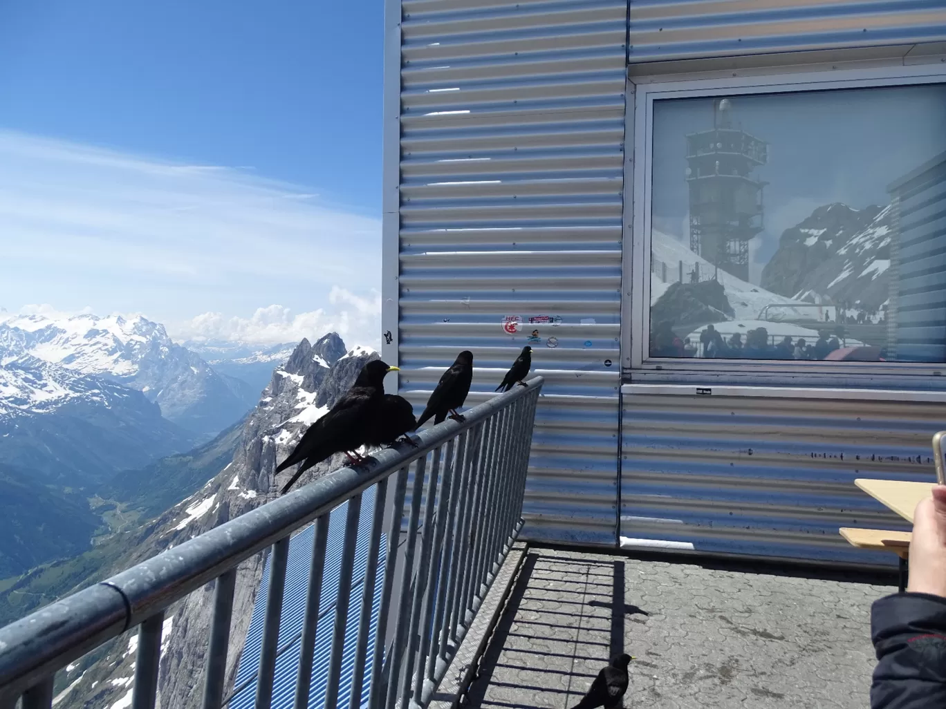 Photo of Titlis By Shriti Singh