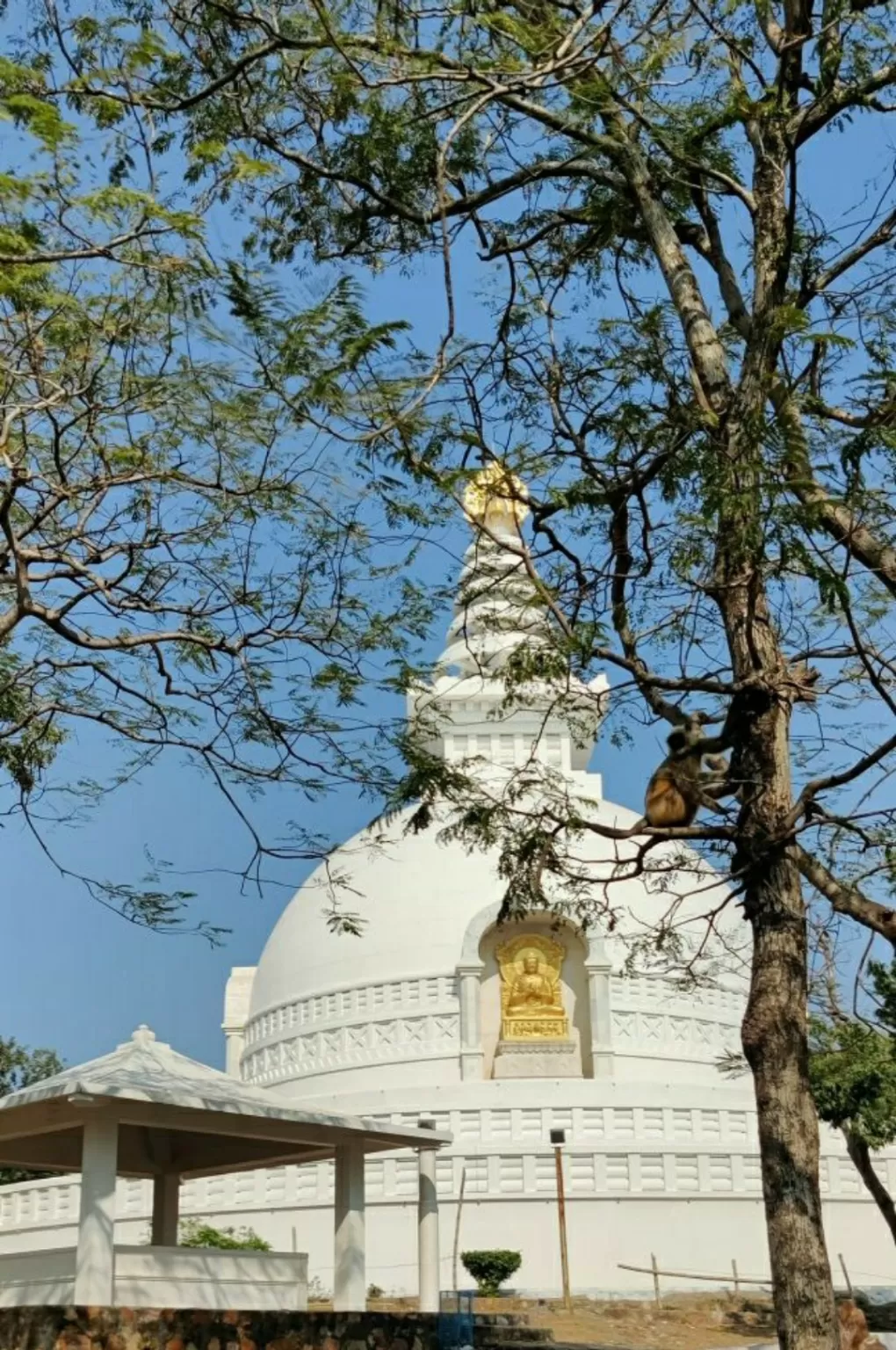 Photo of Rajgir By Passion Photography