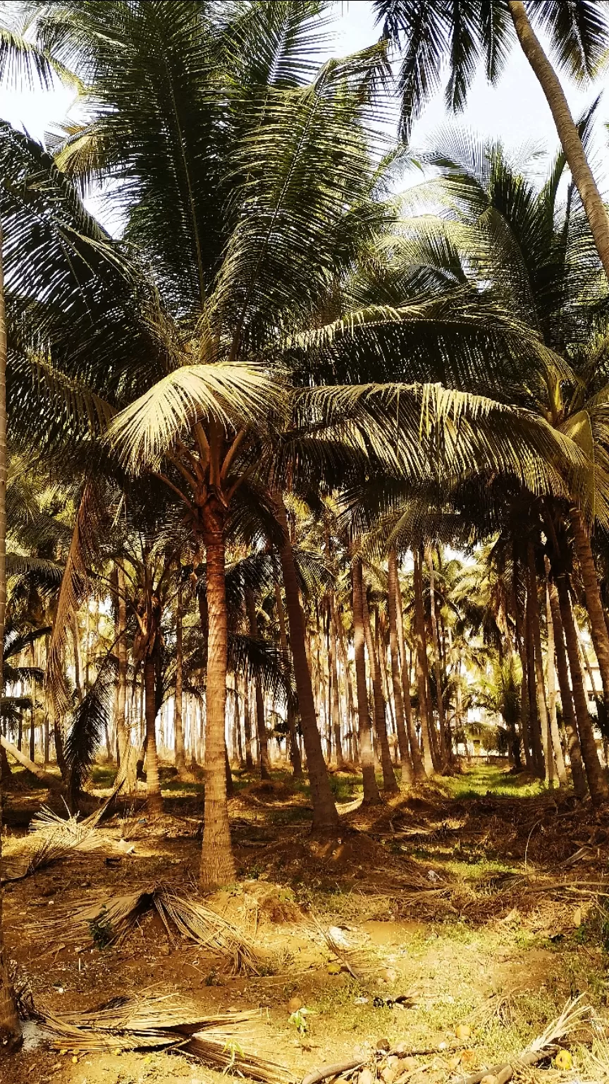 Photo of Daman By Mitesh Siddhpura