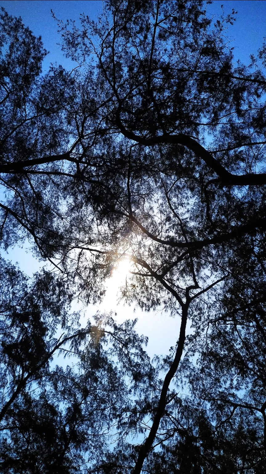 Photo of Daman By Mitesh Siddhpura