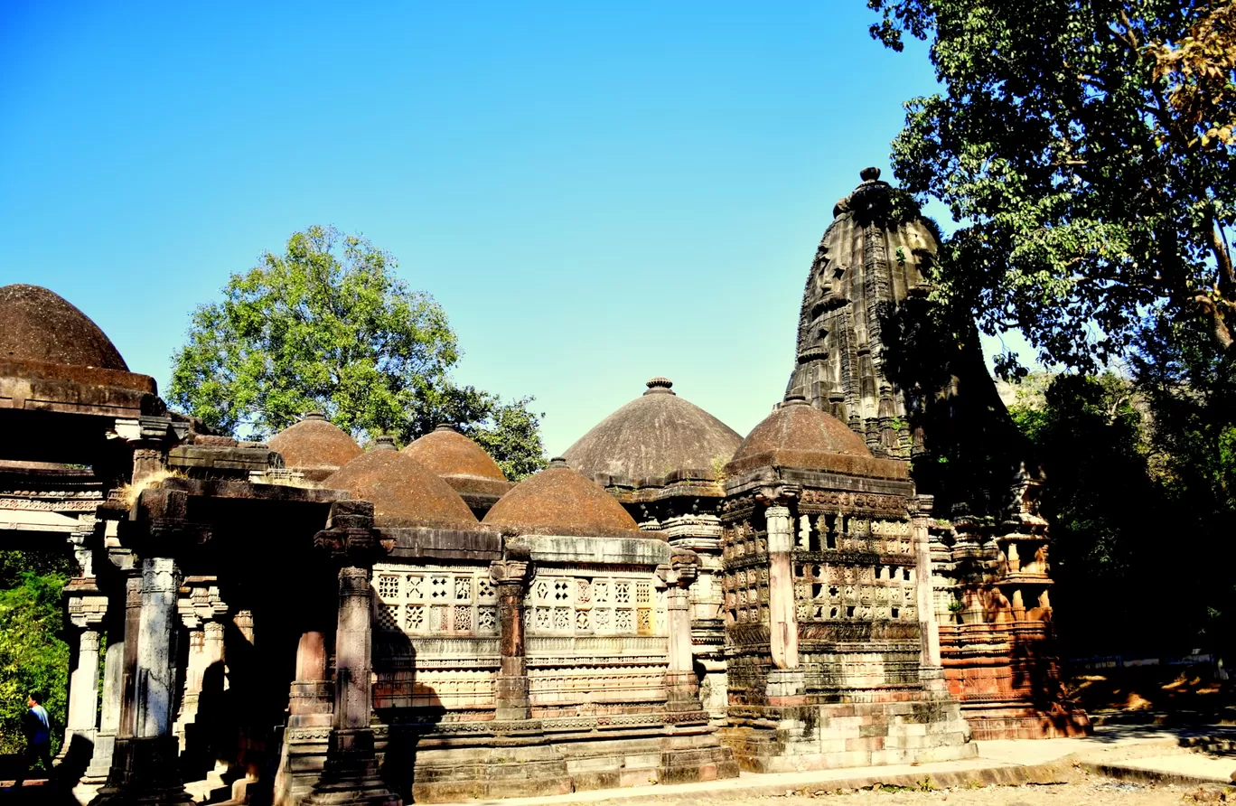 Photo of Polo Forest By Mitesh Siddhpura