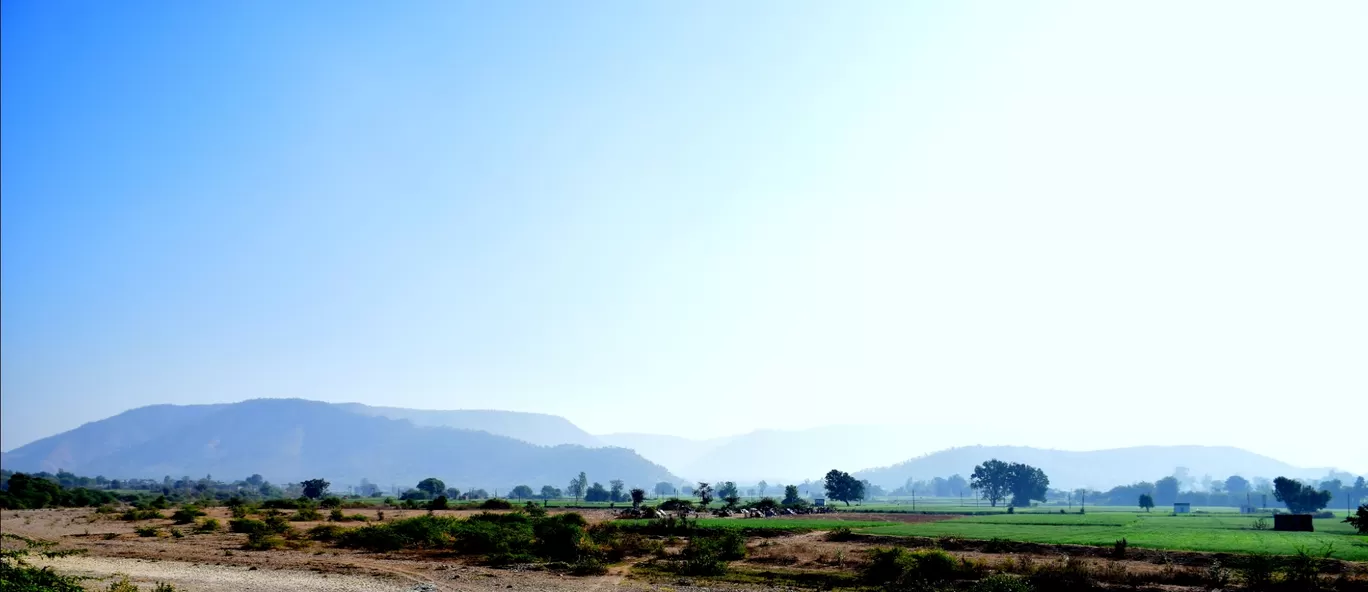 Photo of Polo Forest By Mitesh Siddhpura