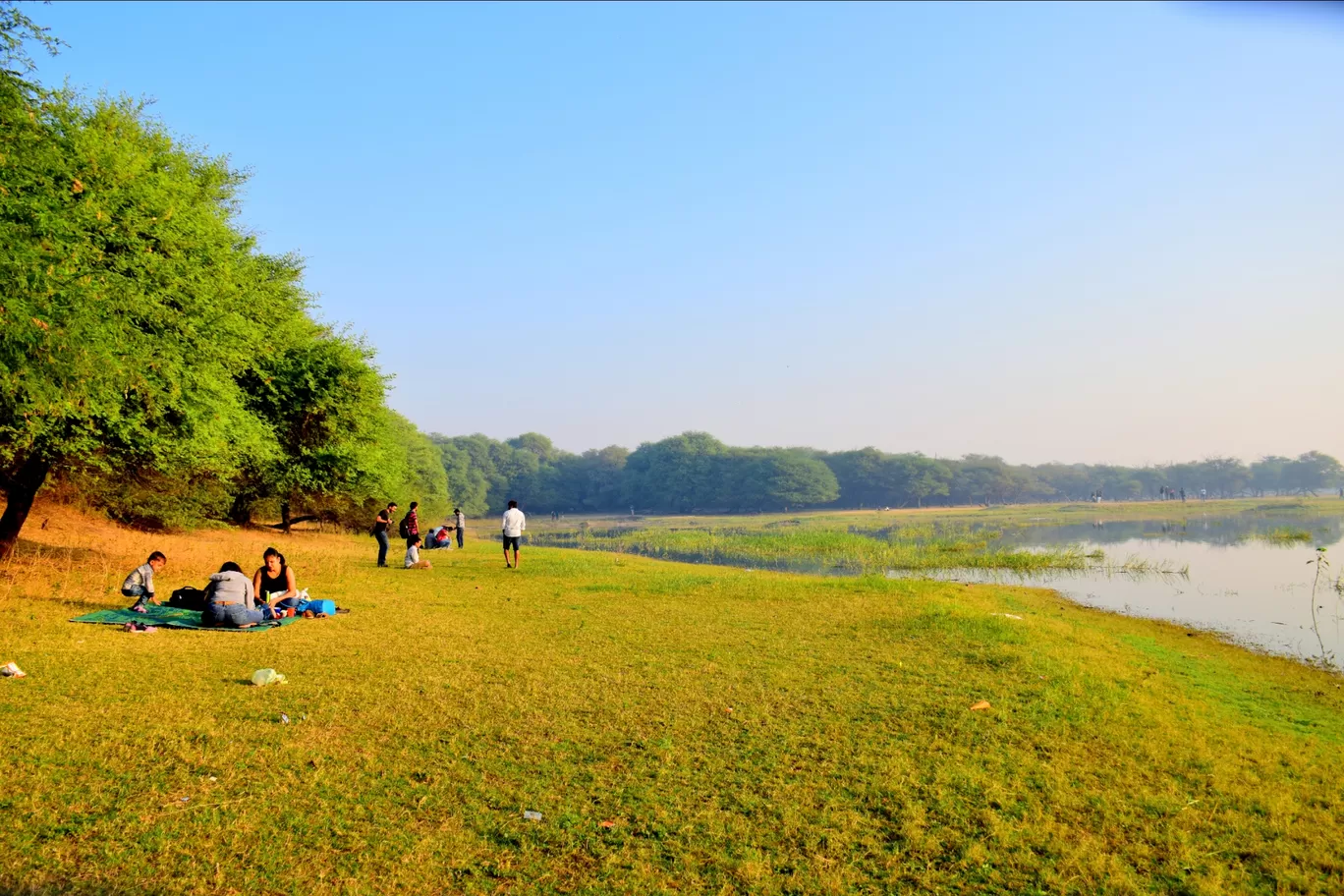 Photo of Thol By Mitesh Siddhpura