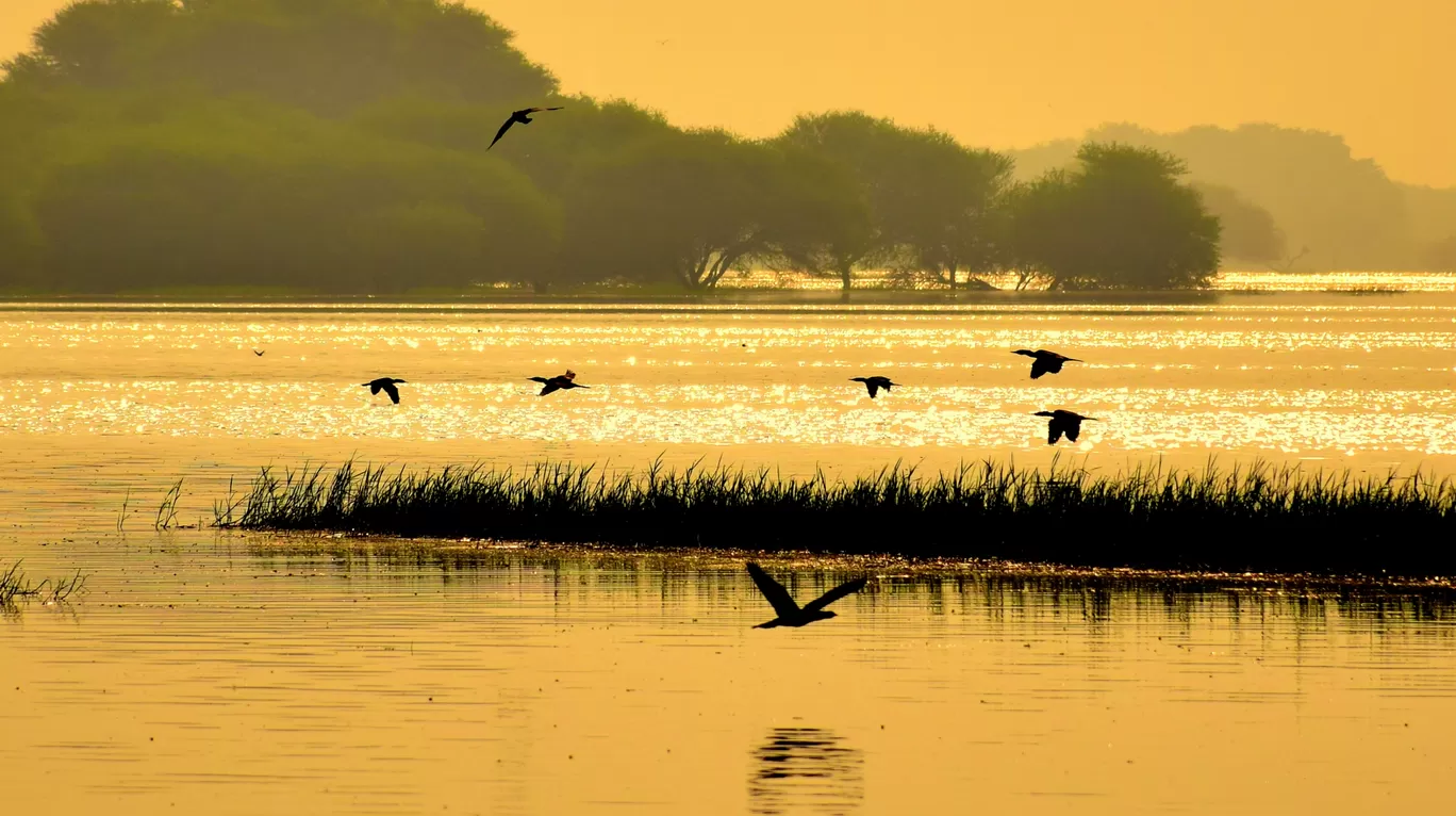 Photo of Thol By Mitesh Siddhpura