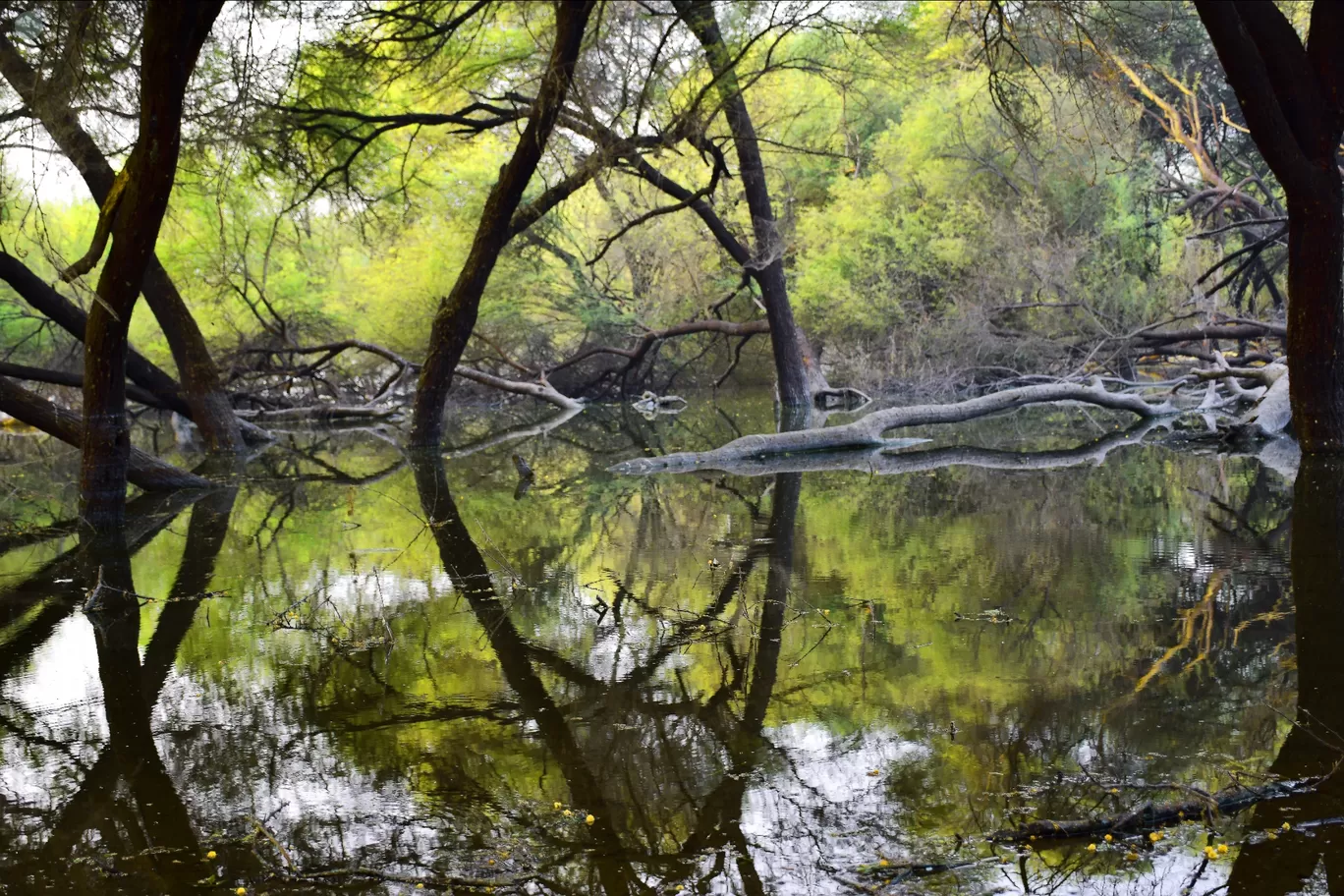 Photo of Thol By Mitesh Siddhpura