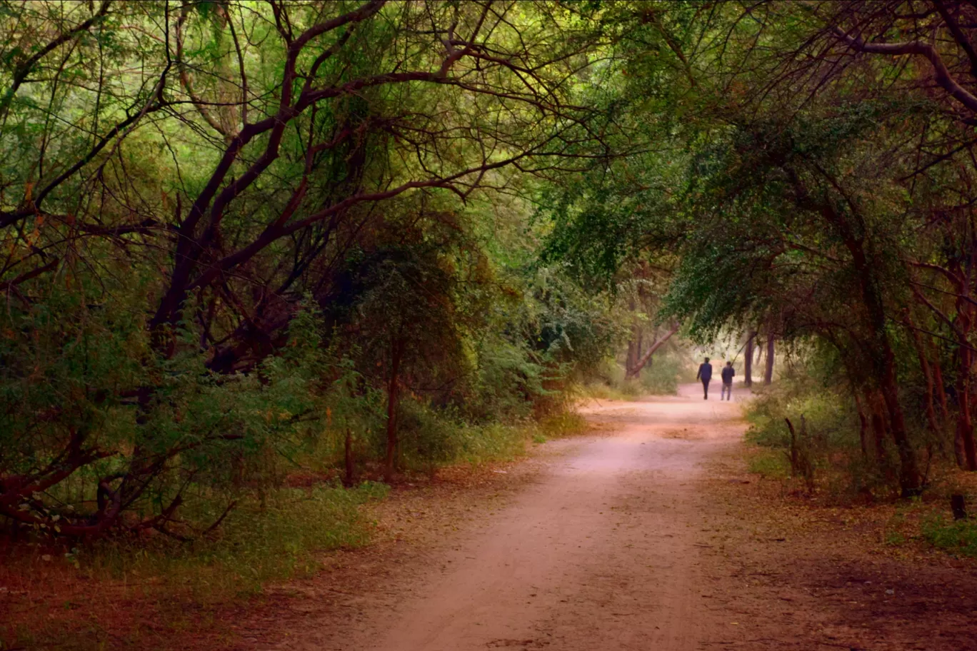 Photo of Thol By Mitesh Siddhpura