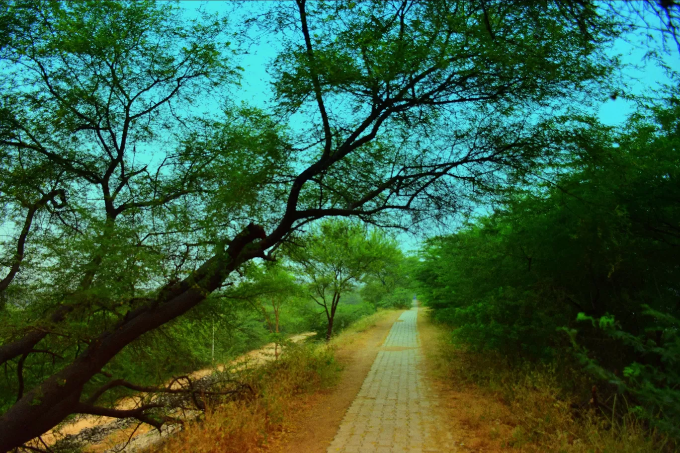 Photo of Thol By Mitesh Siddhpura