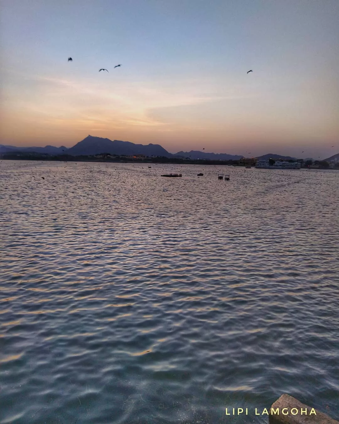 Photo of Udaipur By Lipi L