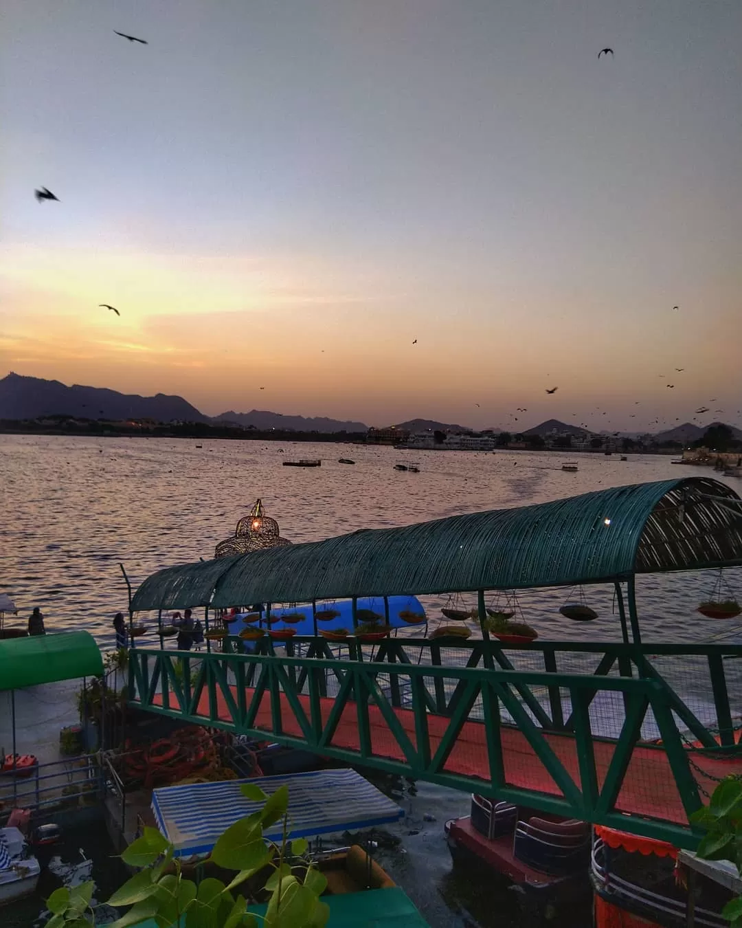 Photo of Udaipur By Lipi L