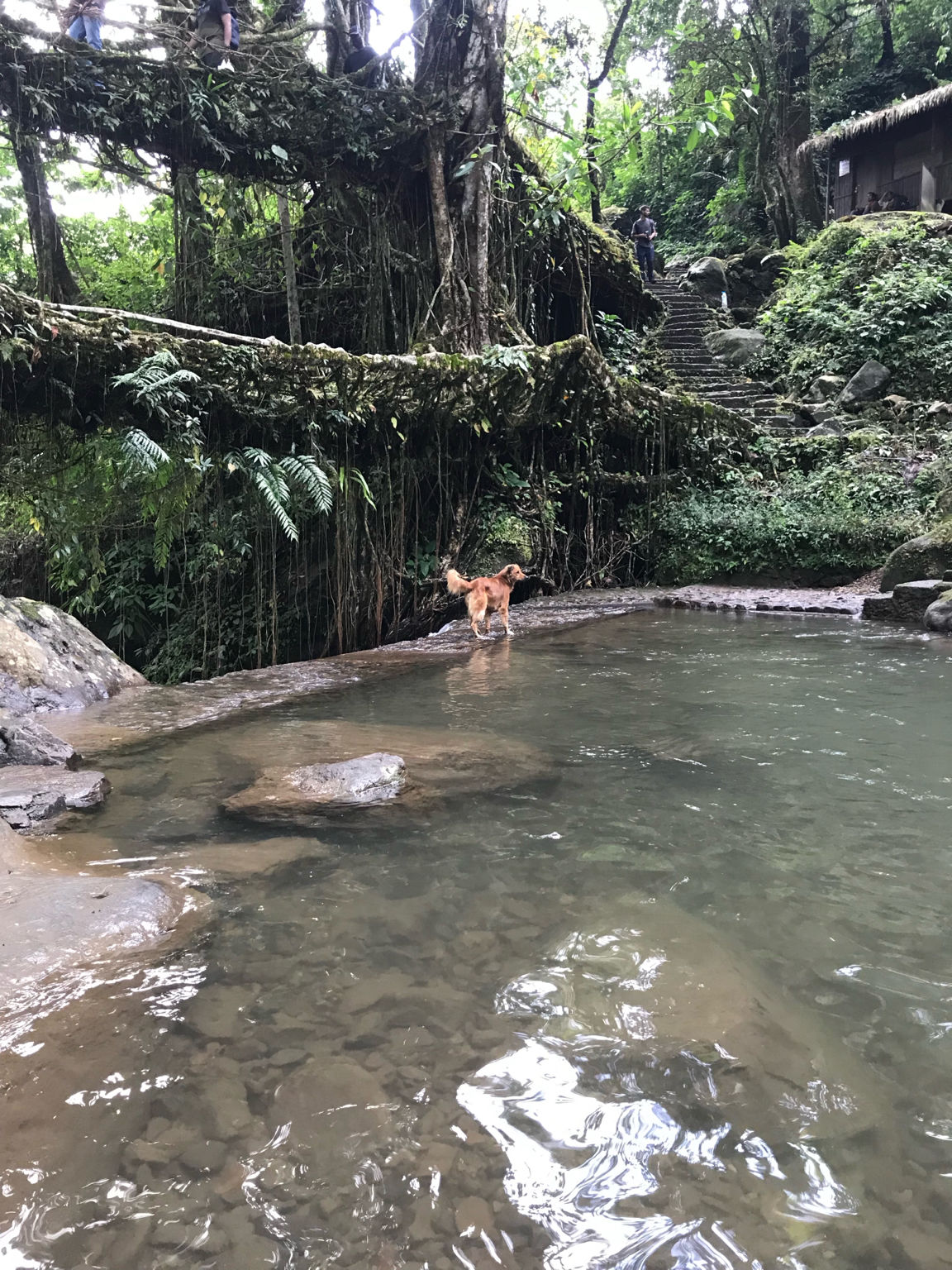 Photo of TraveLo In Meghalaya #hellotravelo #discoverindia #backpacking #budgettraveller By TraveLo