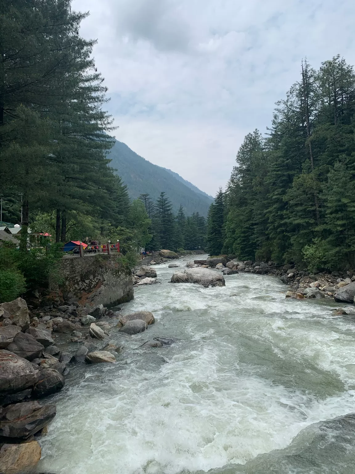 Photo of Kasol Camp By TraveLo