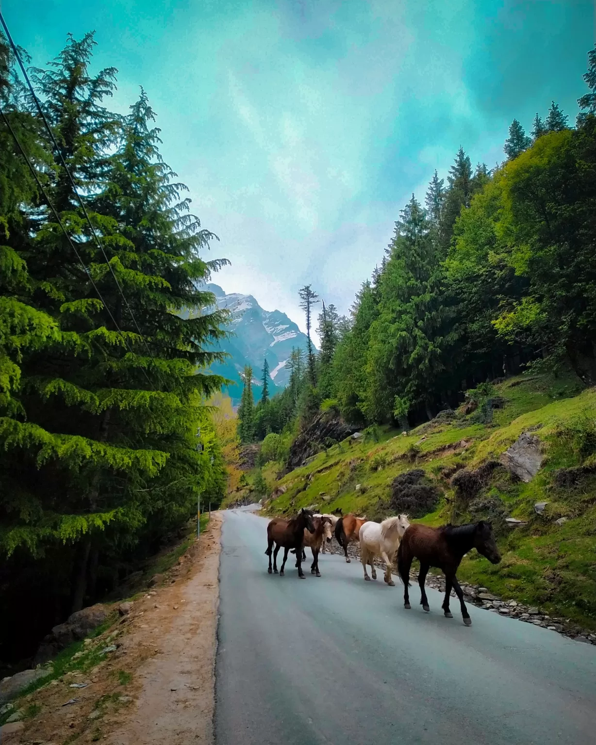 Photo of Rohtang Pass By Munmi Pathak