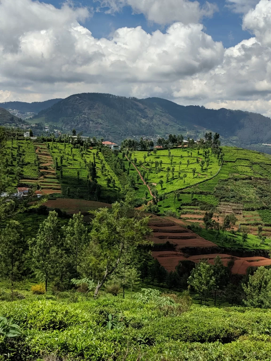Photo of Ooty By Mukul Mudgal