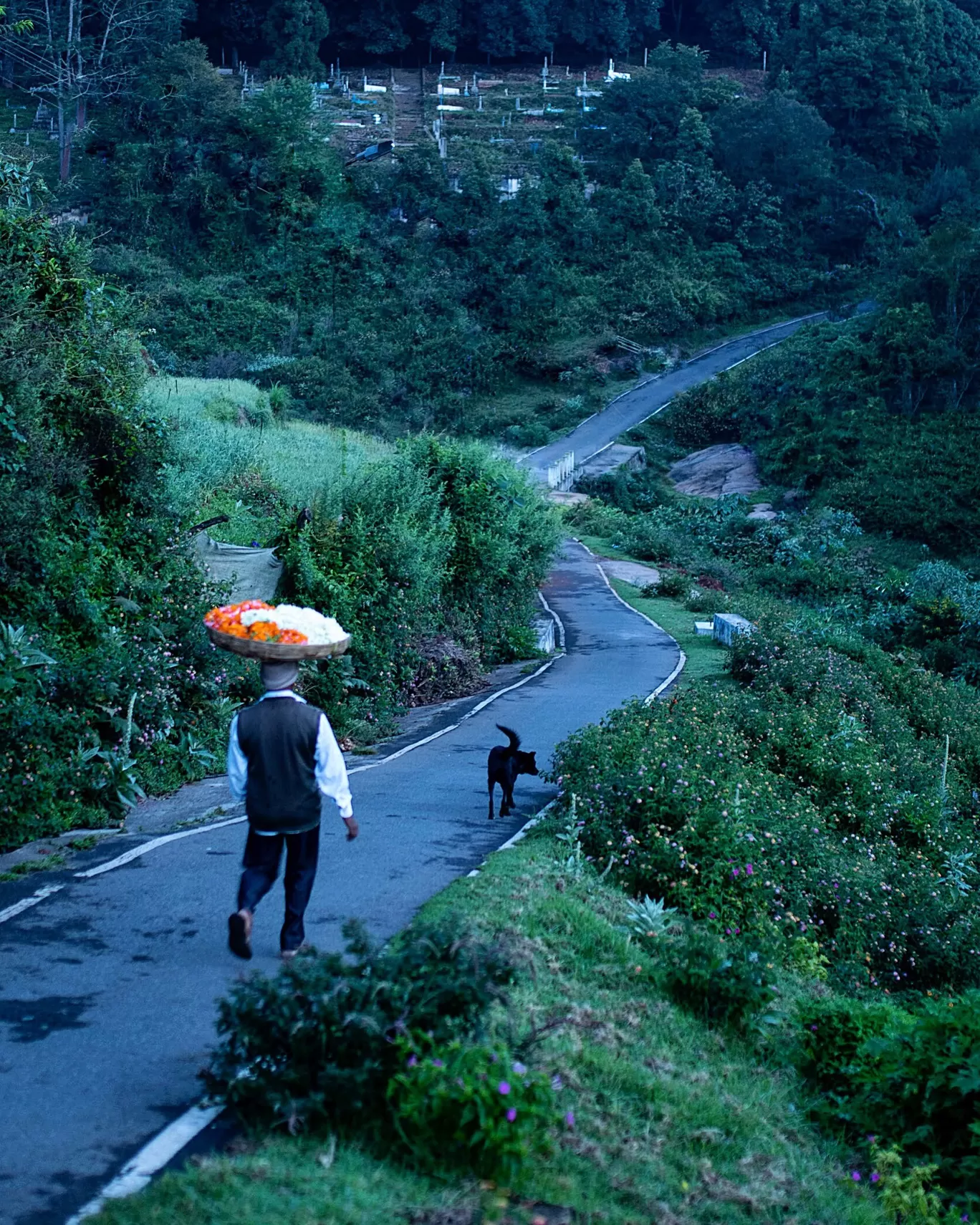 Photo of Ooty By Mukul Mudgal