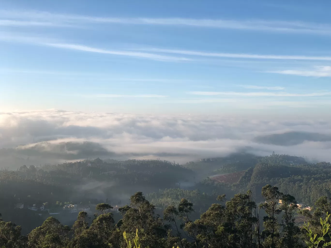 Photo of Ooty By Mukul Mudgal