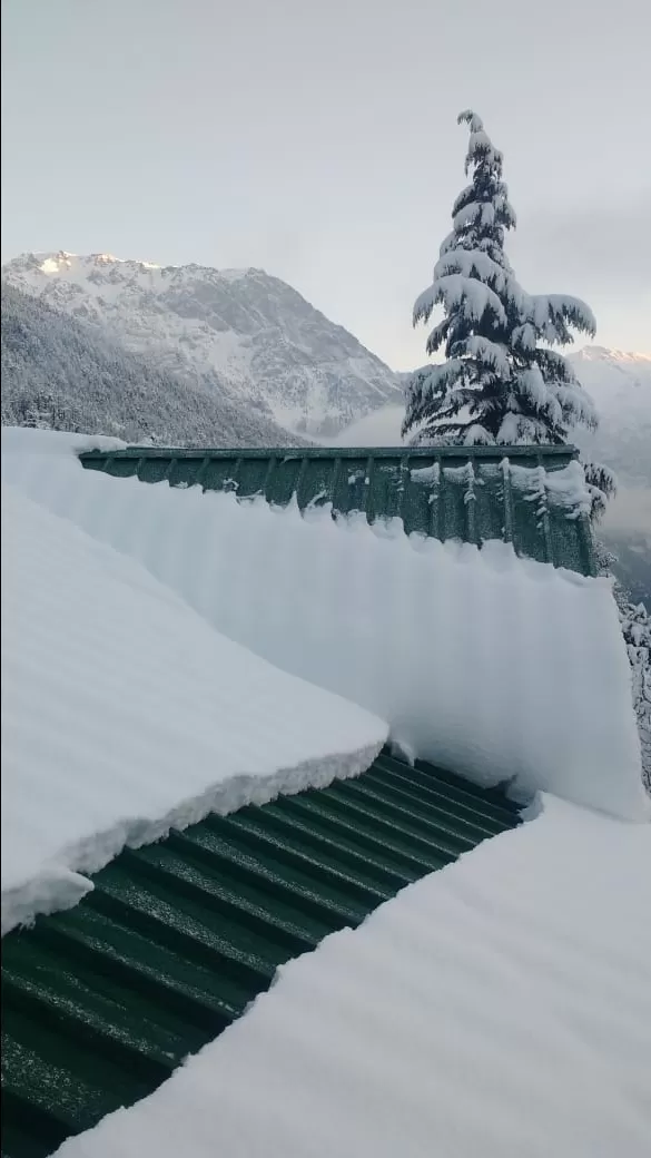 Photo of Kalpa By Seema Tharangzag