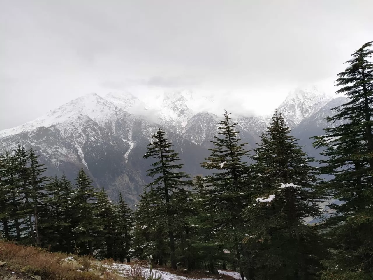 Photo of Kinnaur By Seema Tharangzag
