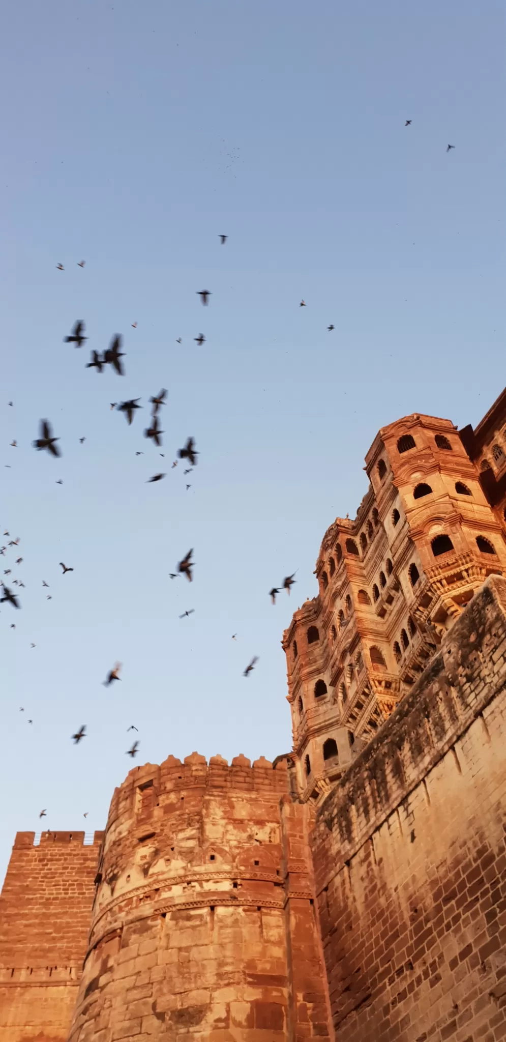 Photo of Jaisalmer By Ravi Jha