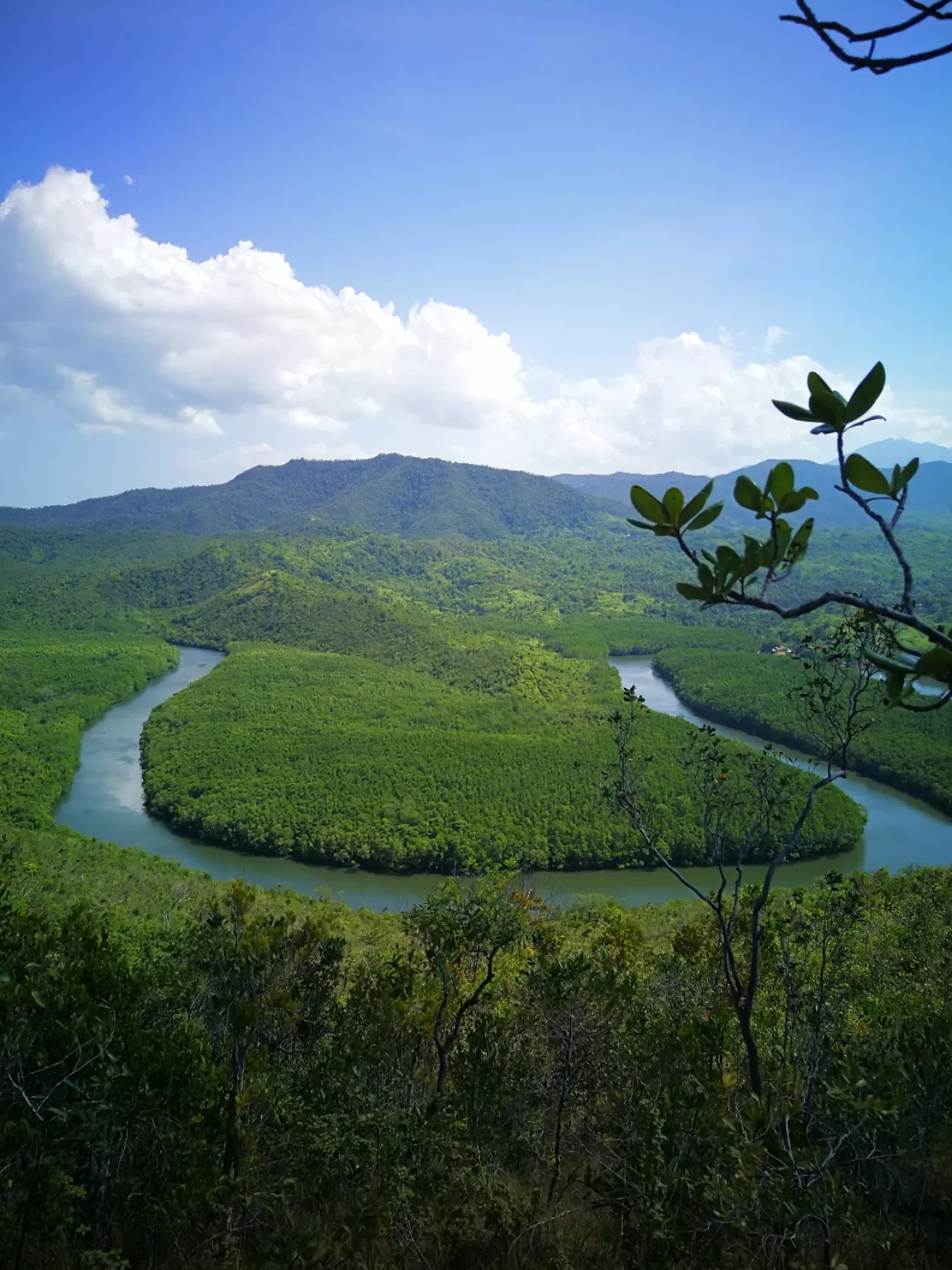 Photo of San Carlos River Cruise By Vera Daffon