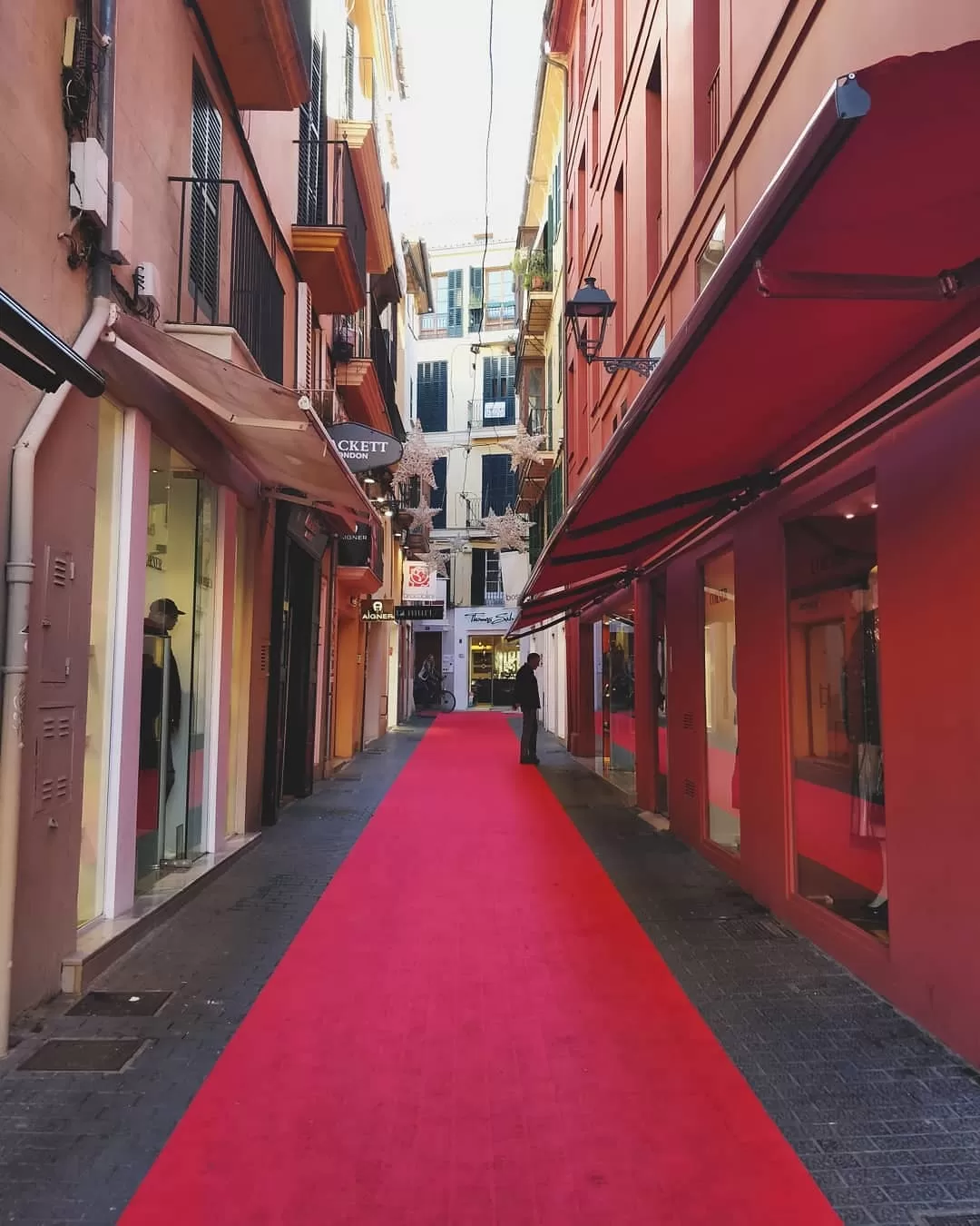 Photo of Palma By Priyasha 