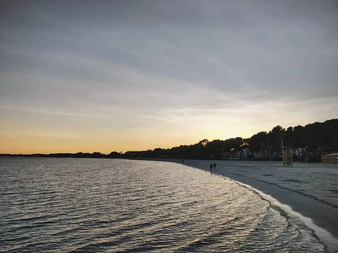 Photo of Palma By Priyasha 