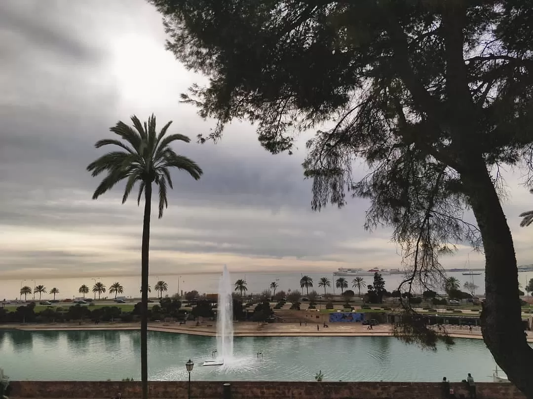 Photo of Palma By Priyasha 
