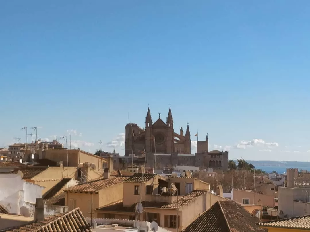 Photo of Palma By Priyasha 