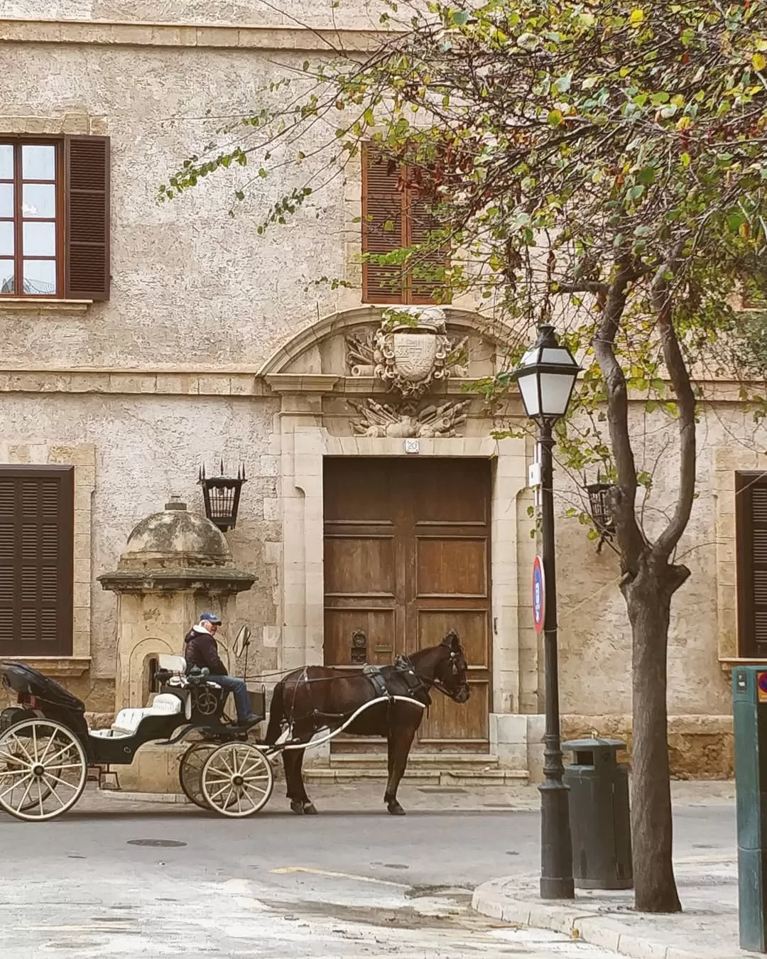 Photo of Palma By Priyasha 