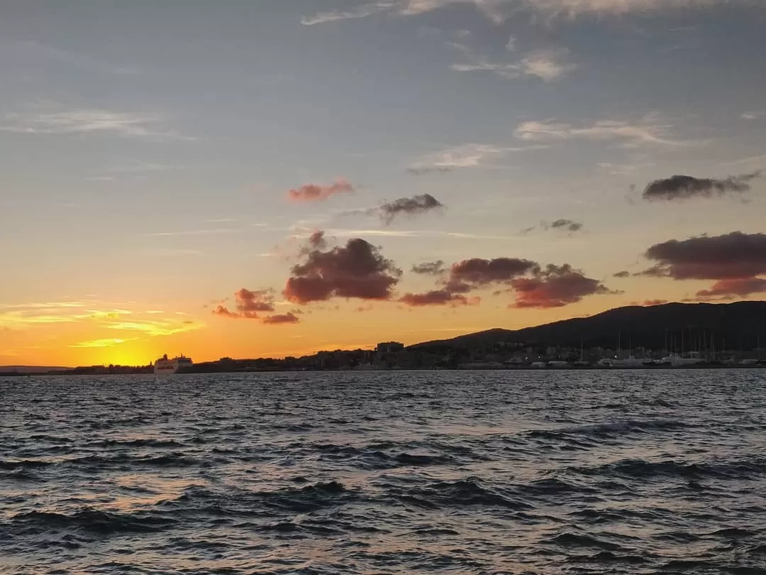 Photo of Palma By Priyasha 