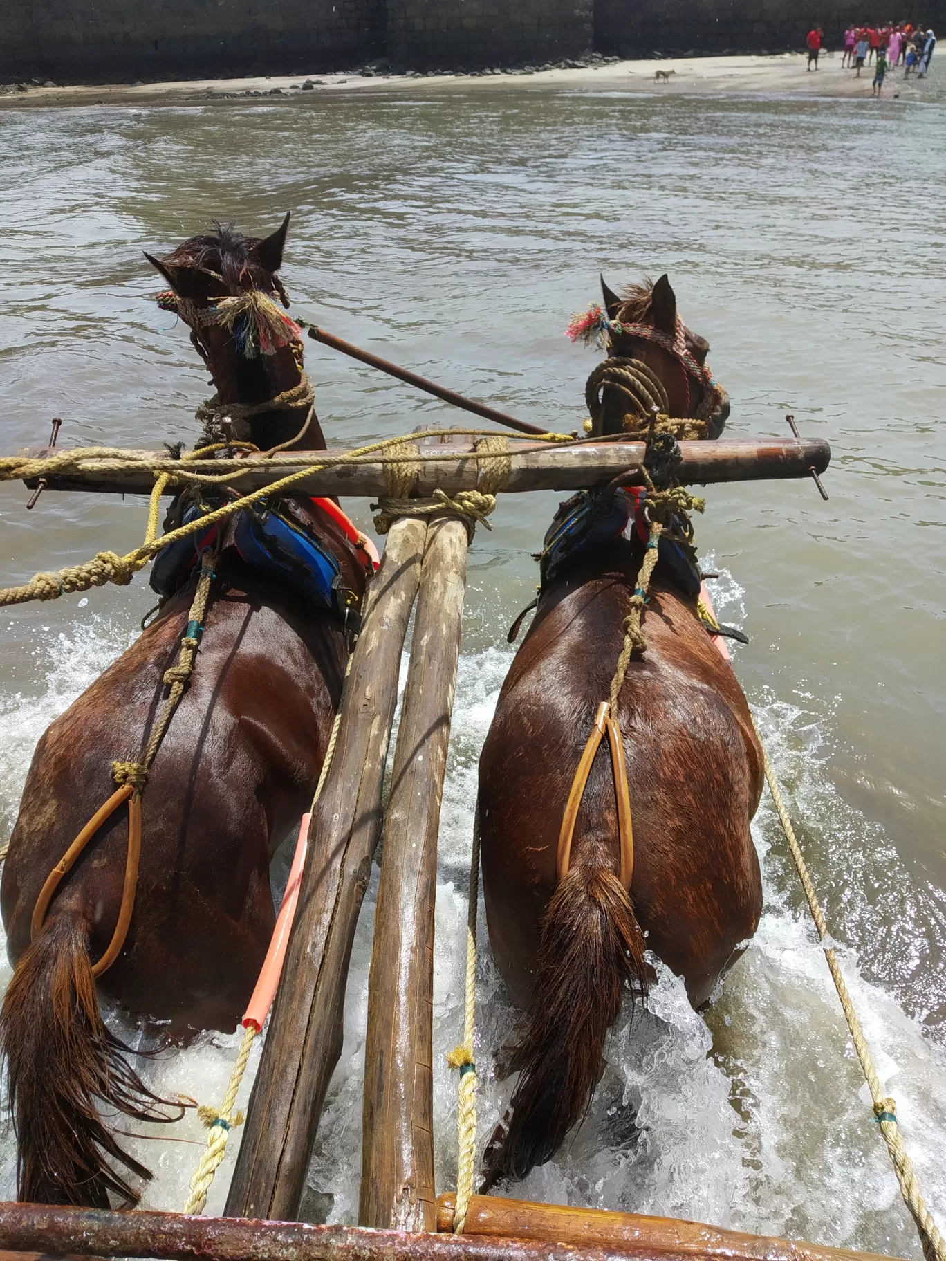 Photo of Alibag By Vaishnavi Deshmukh