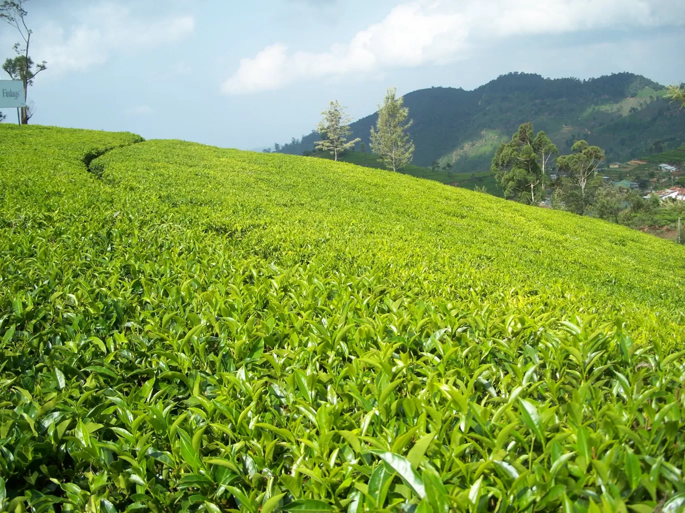 Photo of Sri Lanka By Urjosee Biswas