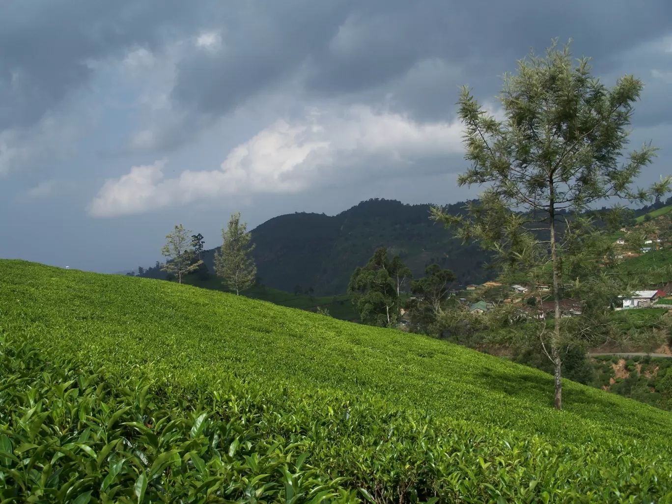 Photo of Sri Lanka By Urjosee Biswas