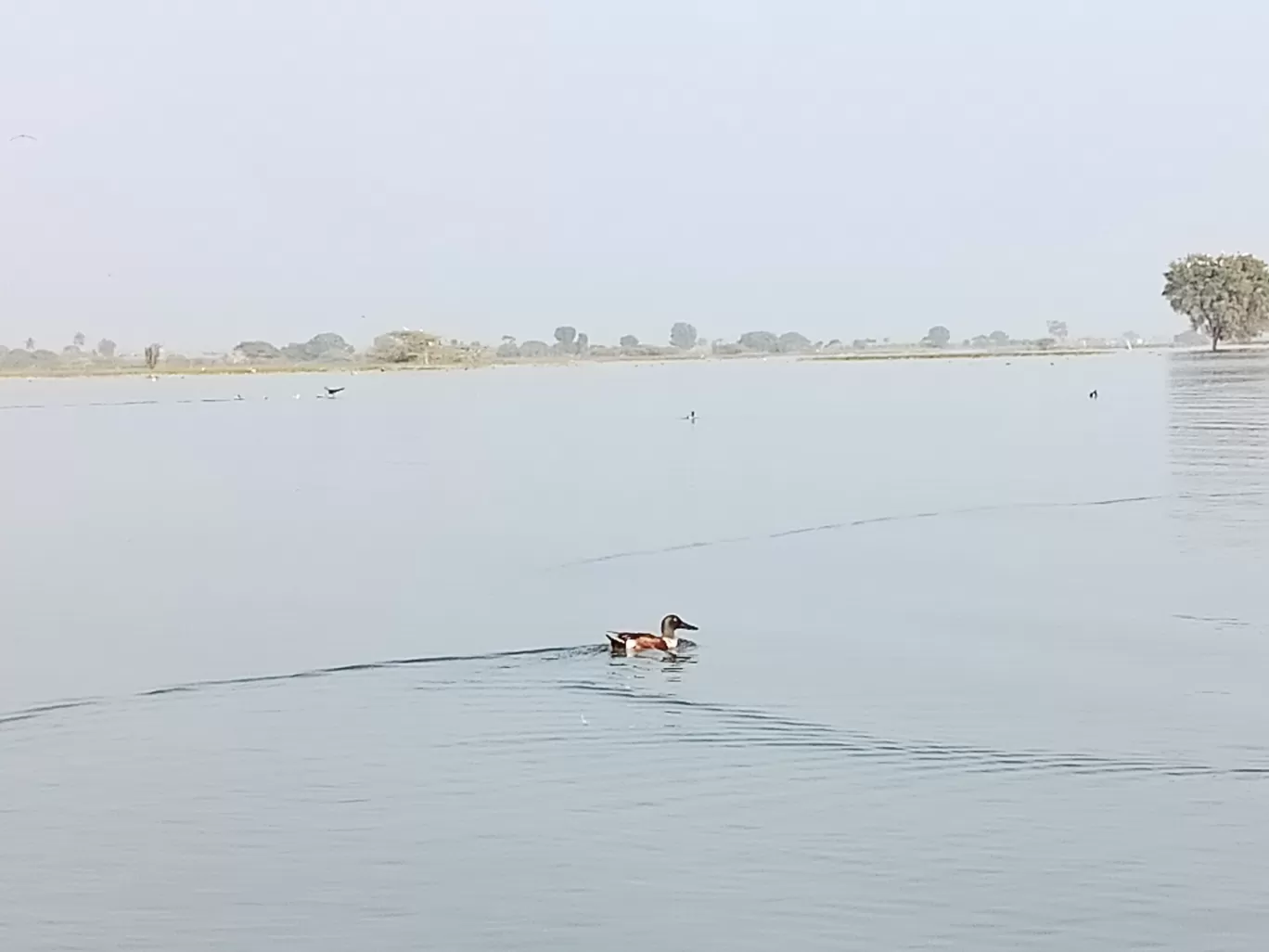 Photo of Baramati By Richa Rajadhyax