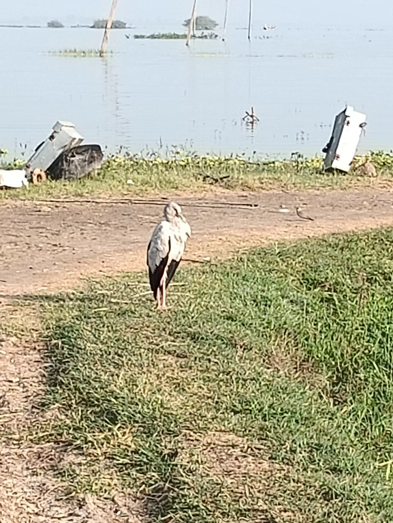 Photo of Baramati By Richa Rajadhyax