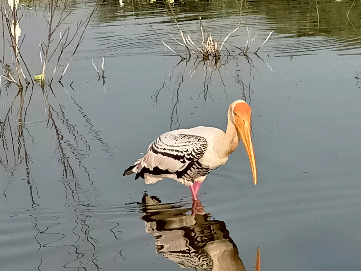 Photo of Baramati By Richa Rajadhyax