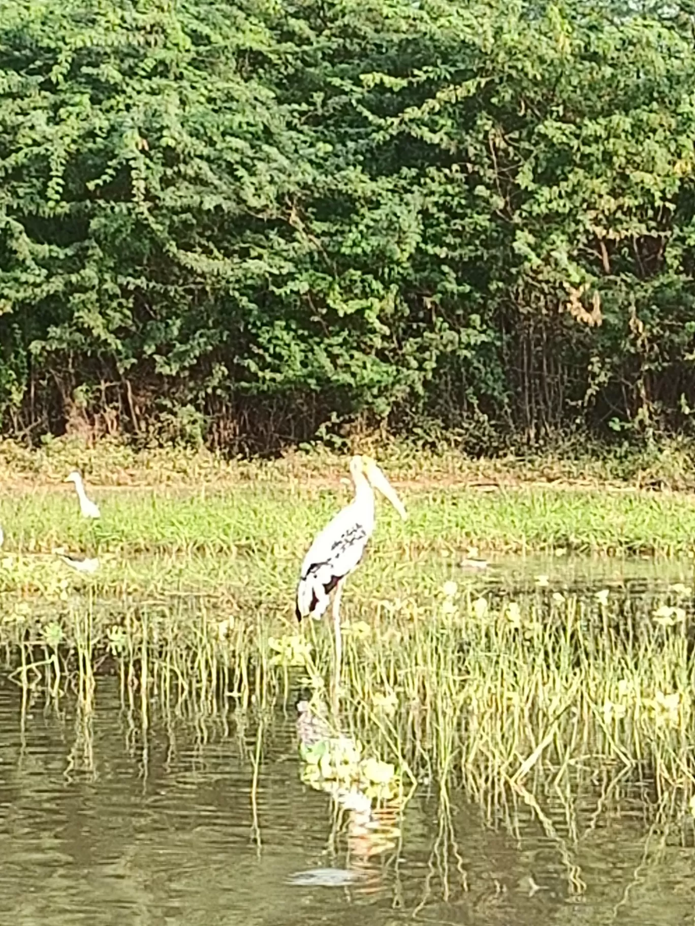 Photo of Baramati By Richa Rajadhyax