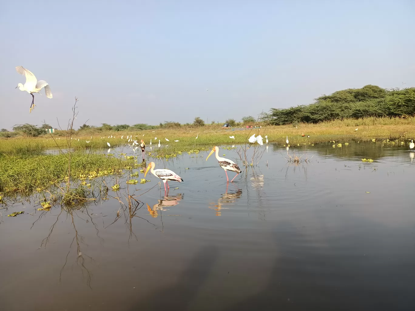 Photo of Baramati By Richa Rajadhyax