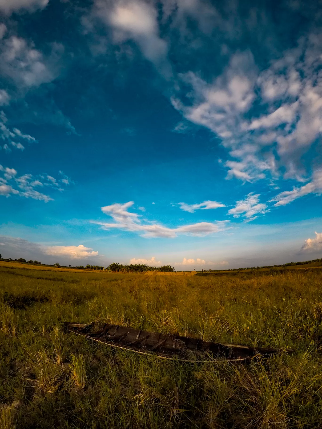 Photo of Kalyani Expressway By Ayan Banerjee