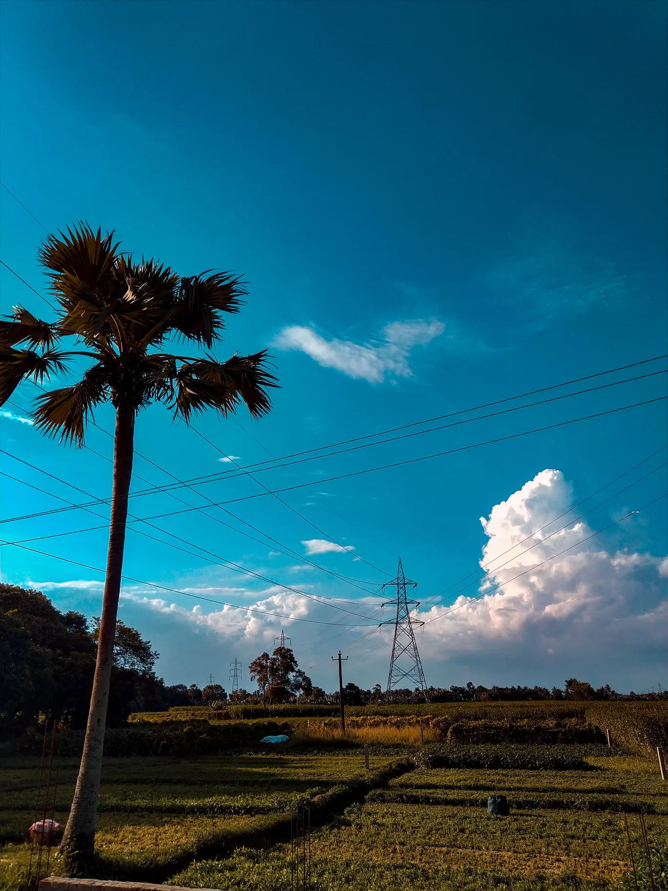 Photo of Kalyani Expressway By Ayan Banerjee